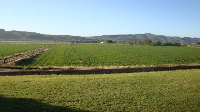 0 Bedroom Property for Sale in Oudtshoorn Rural Western Cape